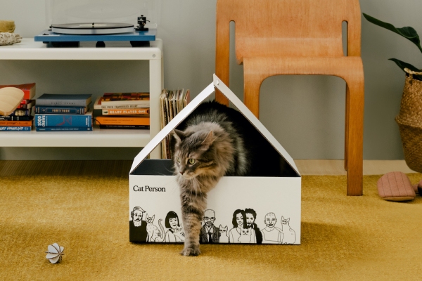 Con el respaldo de Harry's Labs, Cat Person lanza su línea de productos para el cuidado de gatos
