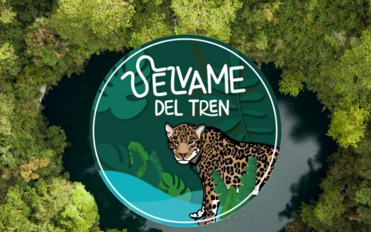 Diálogo cancelado evidencia que gobierno carece de estudios de impacto del Tren Maya: #SelvamedelTren