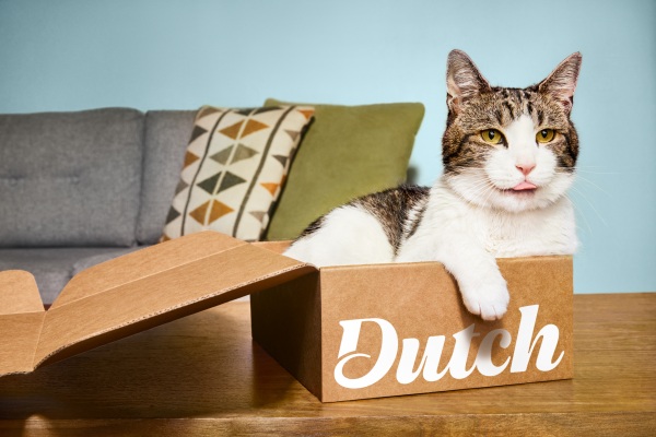 Dutch recauda 20 millones de dólares para escalar su plataforma de telemedicina para mascotas