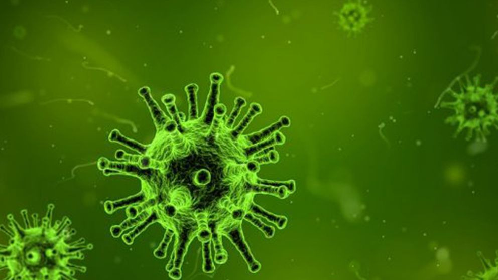 El Yaravirus es un nuevo virus cuyos genes son desconocidos