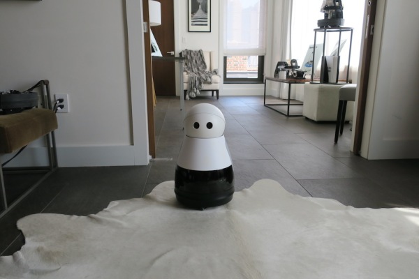 El lindo robot Kuri también trabajará como camarógrafo de tu familia.