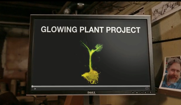 El primer Kickstarter de biología sintética trata sobre el cultivo de ‘plantas brillantes’
