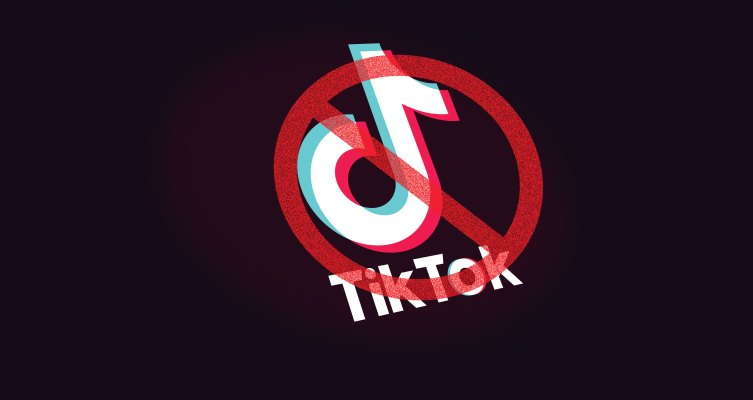 El proyecto de ley del Senado busca prohibir la aplicación china TikTok en los teléfonos de trabajo del gobierno