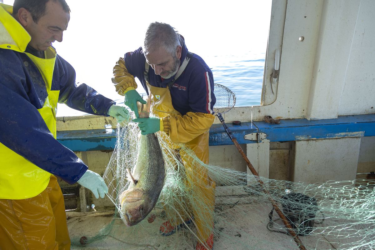 El sector pesquero busca solución a su principal problema: el relevo generacional