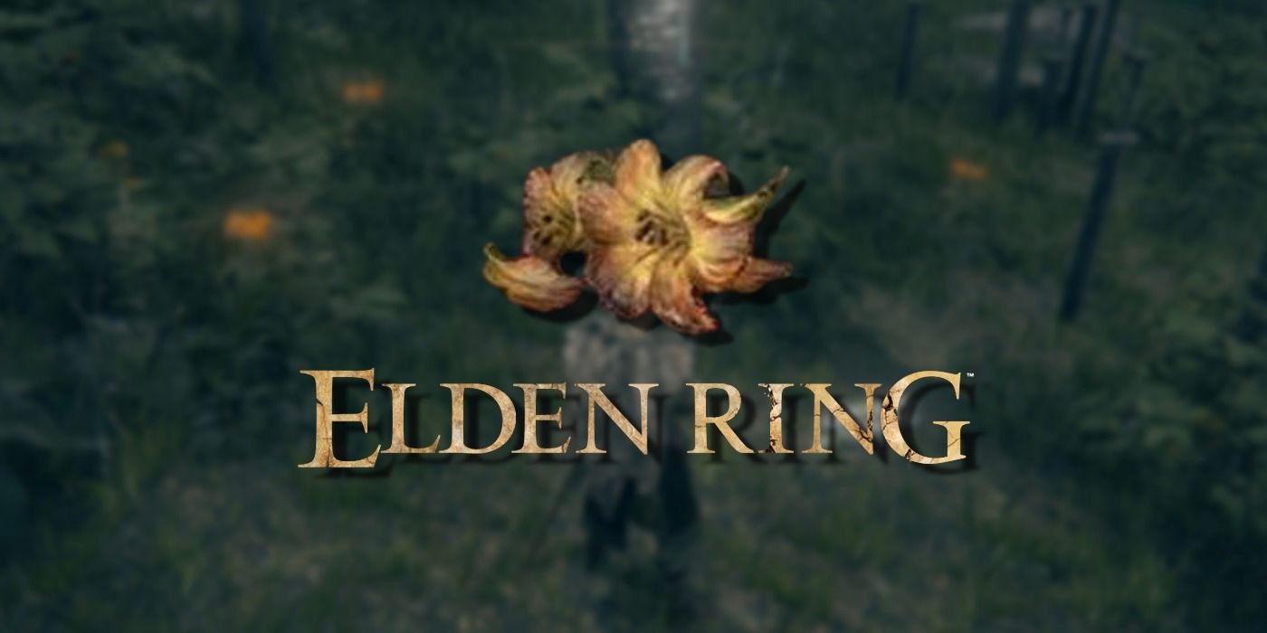 Elden Ring: el mejor lugar para cultivar la flor Erdleaf (y lo que hacen)