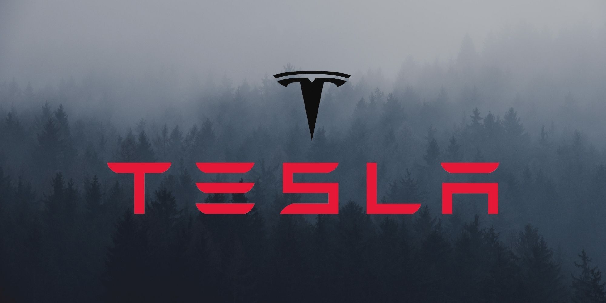 Elon Musk dice que Tesla tendrá que empezar a extraer litio