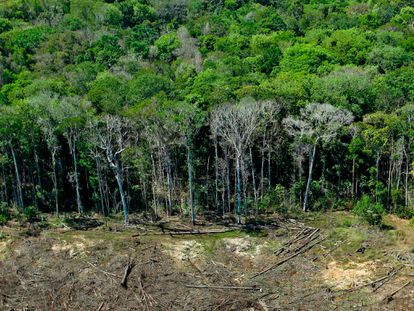 Facebook desenmascara a militares brasileños que divulgaban noticias falsas sobre la Amazonia