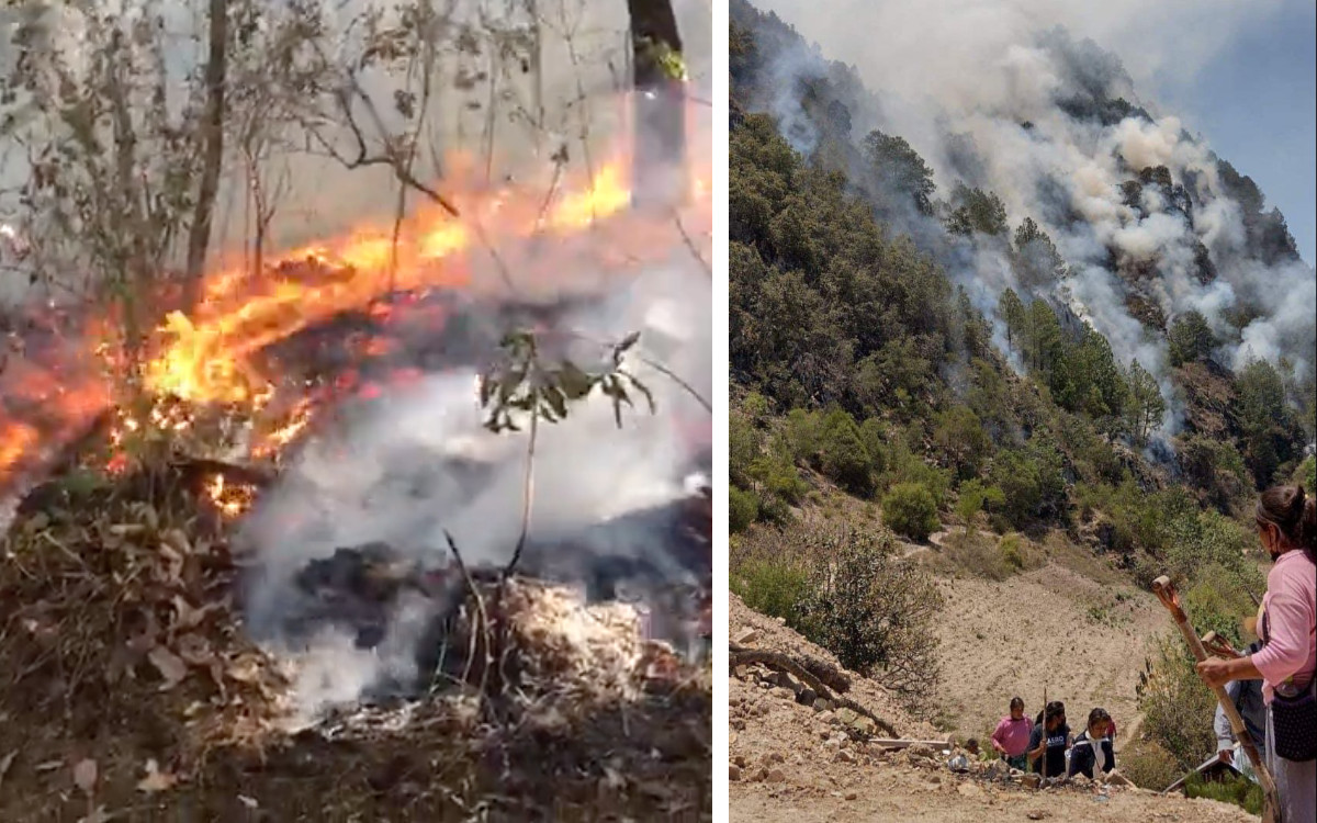 Fallecen cuatro comuneros mixtecos al intentar sofocar incendio forestal en Oaxaca