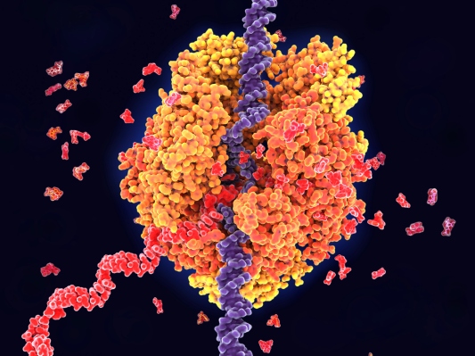 GreenLight Biosciences recauda $ 17 millones para aumentar la producción de ARNm para los ensayos de candidatos a vacunas COVID-19