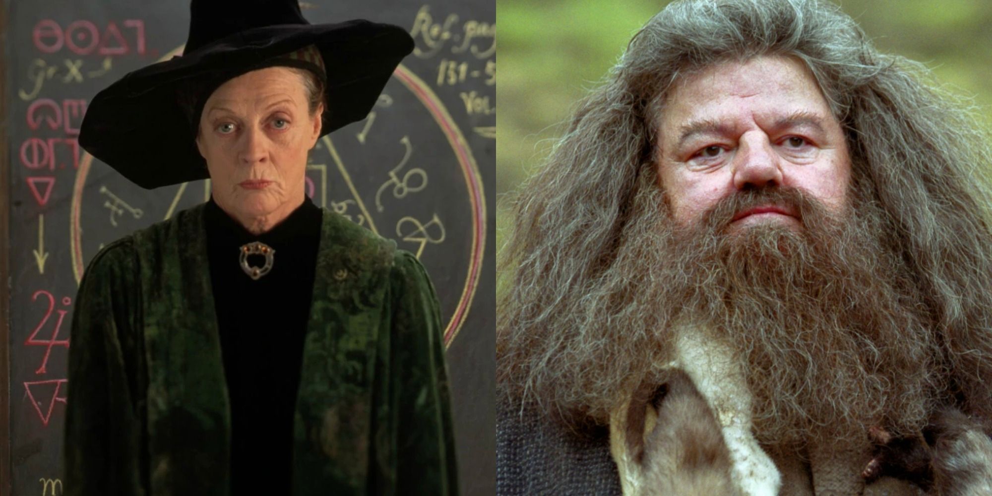 Harry Potter: 10 profesores, clasificados en sus casas de Hogwarts