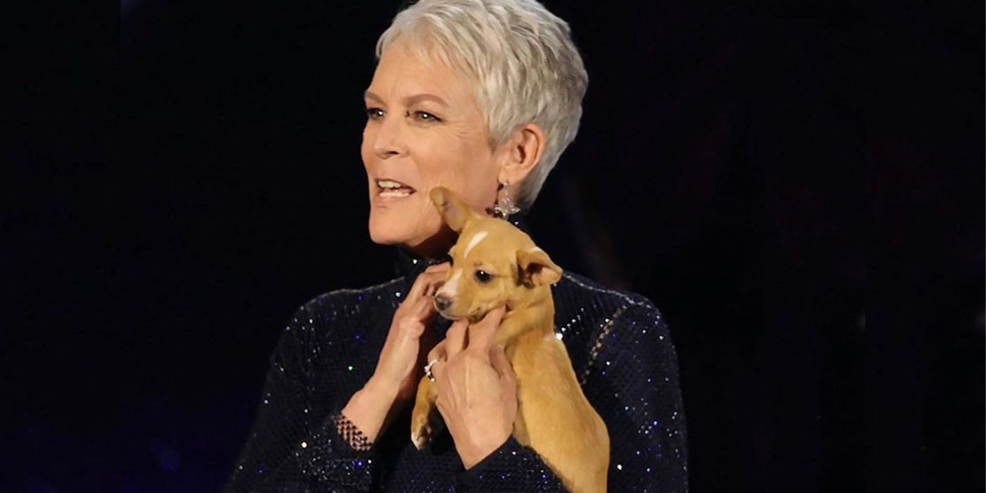 Jamie Lee Curtis da una actualización sobre el cachorro que trajo al escenario en los Oscar