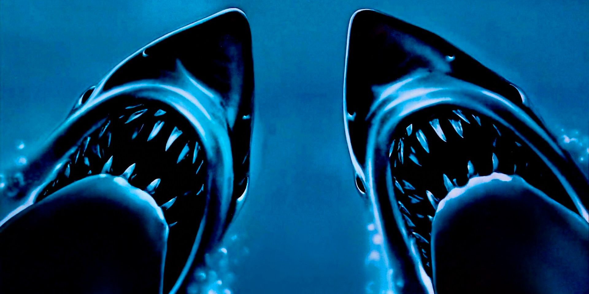 Jaws: Rising - Explicación de la secuela cancelada de STV