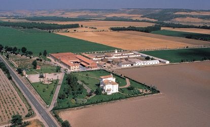 Finca de Vega-Sicilia en la provincia de Valladolid. 