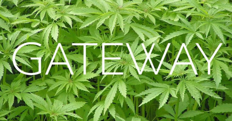La incubadora de empresas emergentes de marihuana "Gateway" se enciende