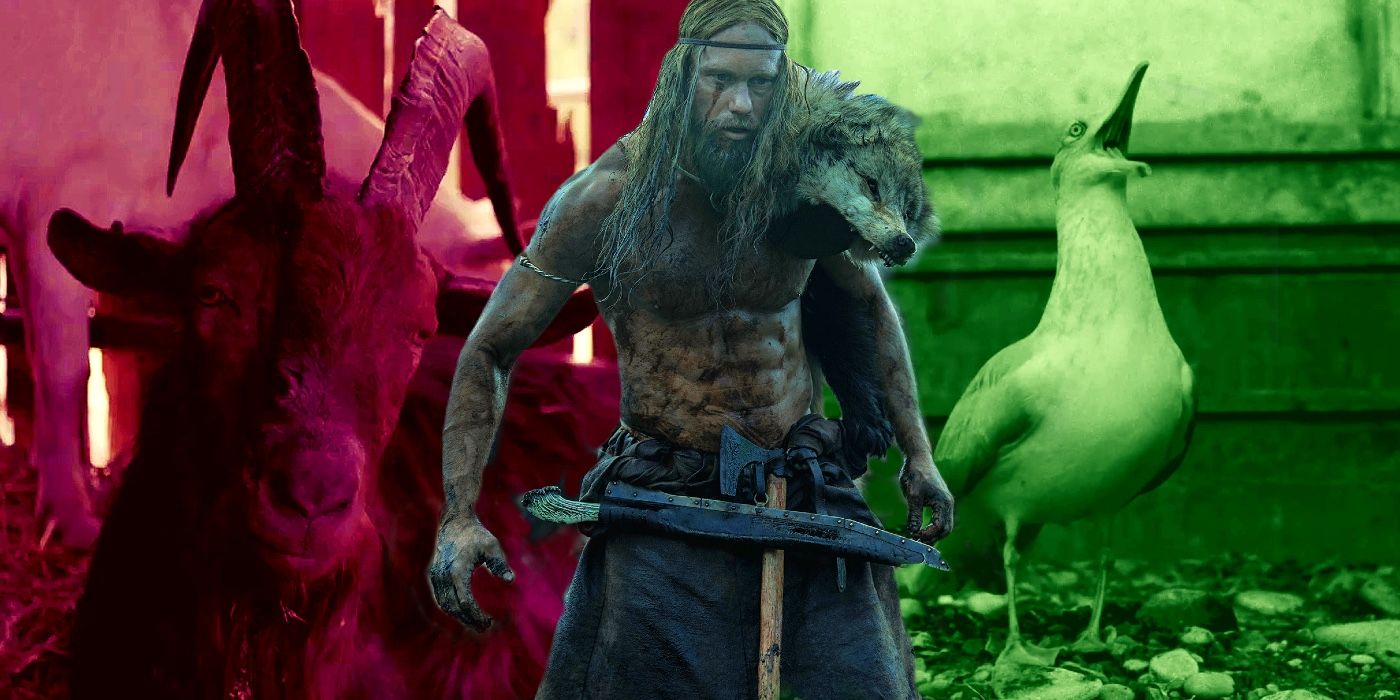 La verdadera historia del hombre del norte: vikingos y simbolismo animal explicado