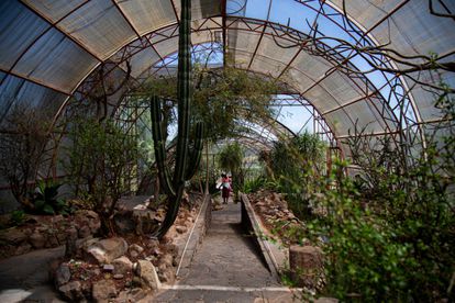 Conservatorio de Plantas de El Charco del Ingenio.