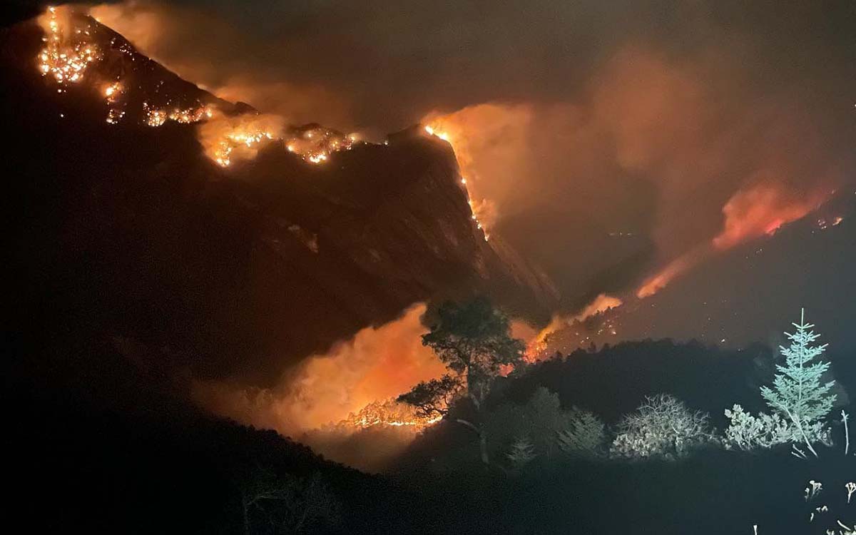 Más de 2 mil hectáreas afectadas y decenas de especies de animales en riesgo tras incendio en la Sierra de Santiago