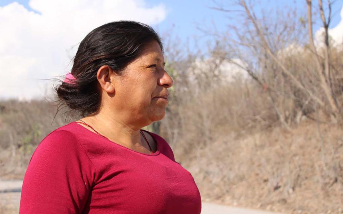 Oaxaca: Julia obtuvo su libertad tras dos años de prisión; nunca tuvo defensor ni intérprete indígena