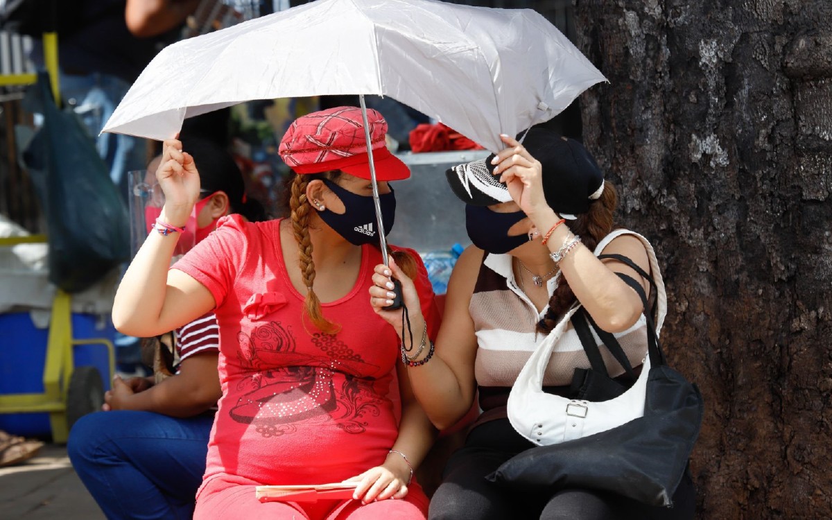 Persistirá ola de calor en casi todo México; 7 entidades con temperaturas de hasta 45°