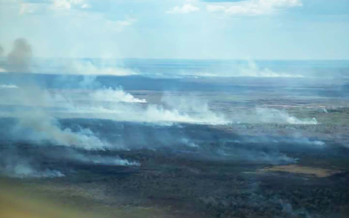 Se reactiva incendio forestal en Calakmul, Campeche