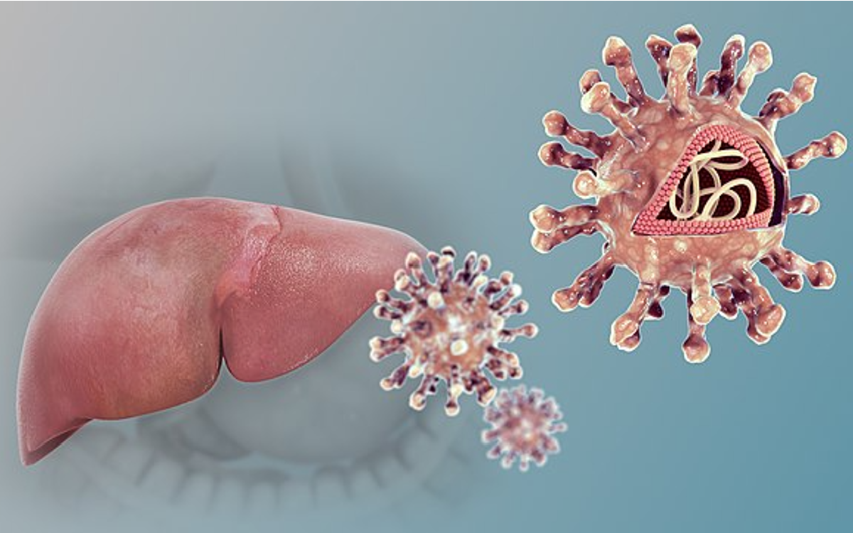 Adenovirus, principal hipótesis de hepatitis grave infantil: Autoridades sanitarias de EU