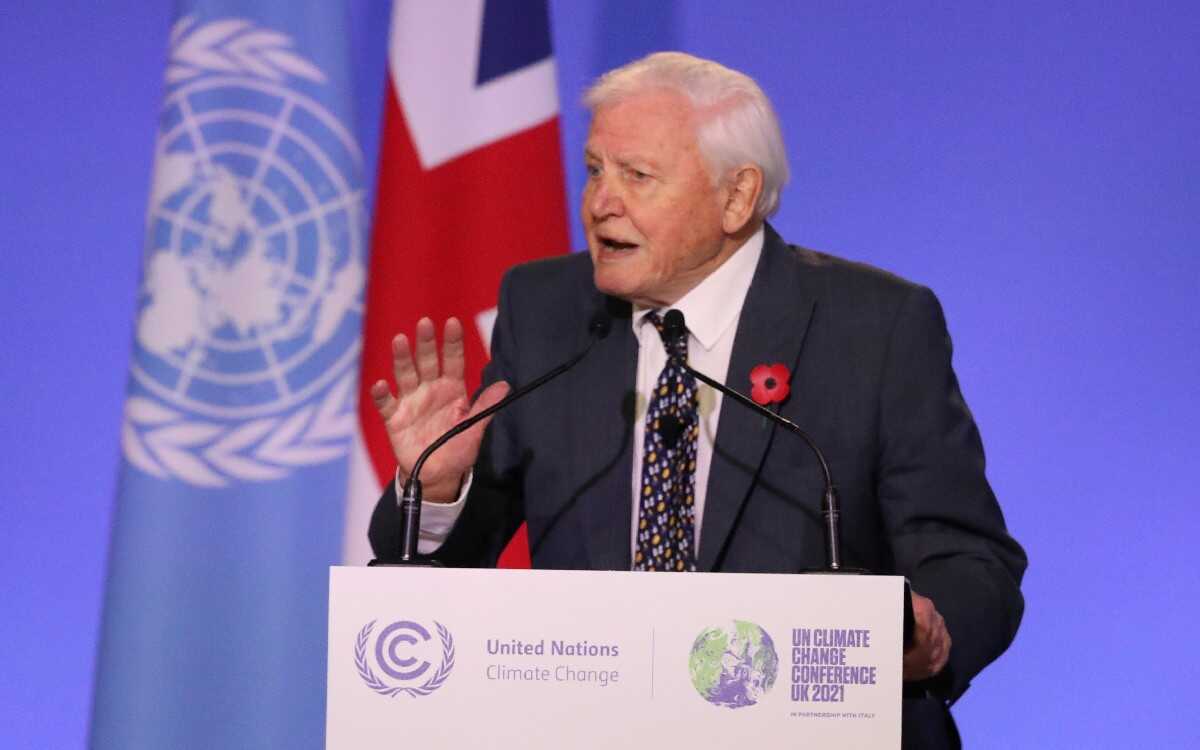 Sir David Attenborough es el "campeón de la Tierra" | Video