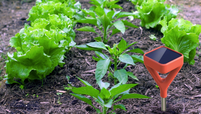 Soil IQ hace una sonda inteligente para su jardín