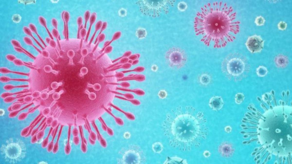 Todo lo que debes saber sobre la palabra coronavirus