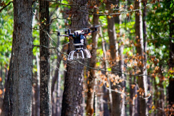 Treeswift está usando drones para monitorear bosques