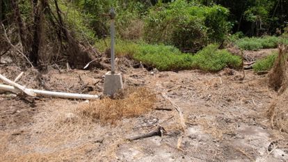 Deforestación por el asentamiento de las explotaciones porcinas en Yucatán.