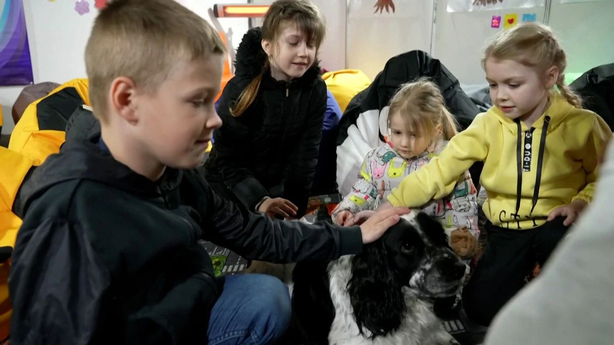 Vídeo | Terapia canina para calmar a los niños que sufren el horror de la guerra de Ucrania