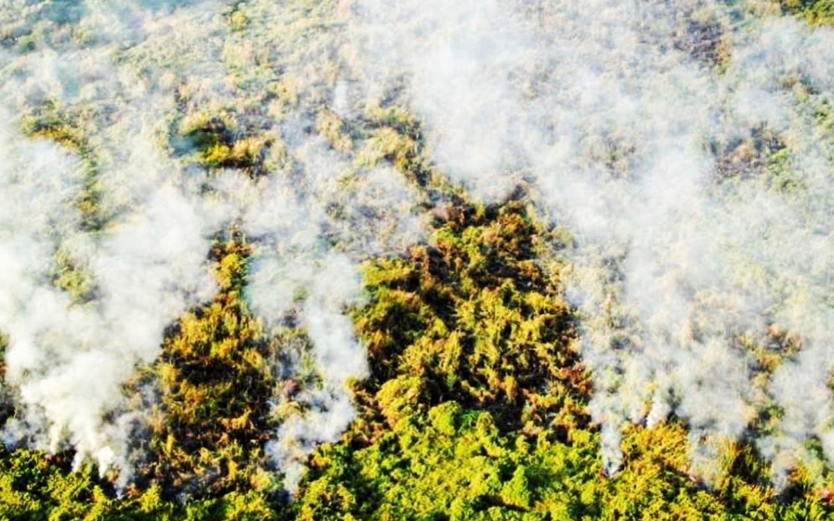 Zoques denuncian dos incendios provocados en los límites entre Chiapas y Oaxaca