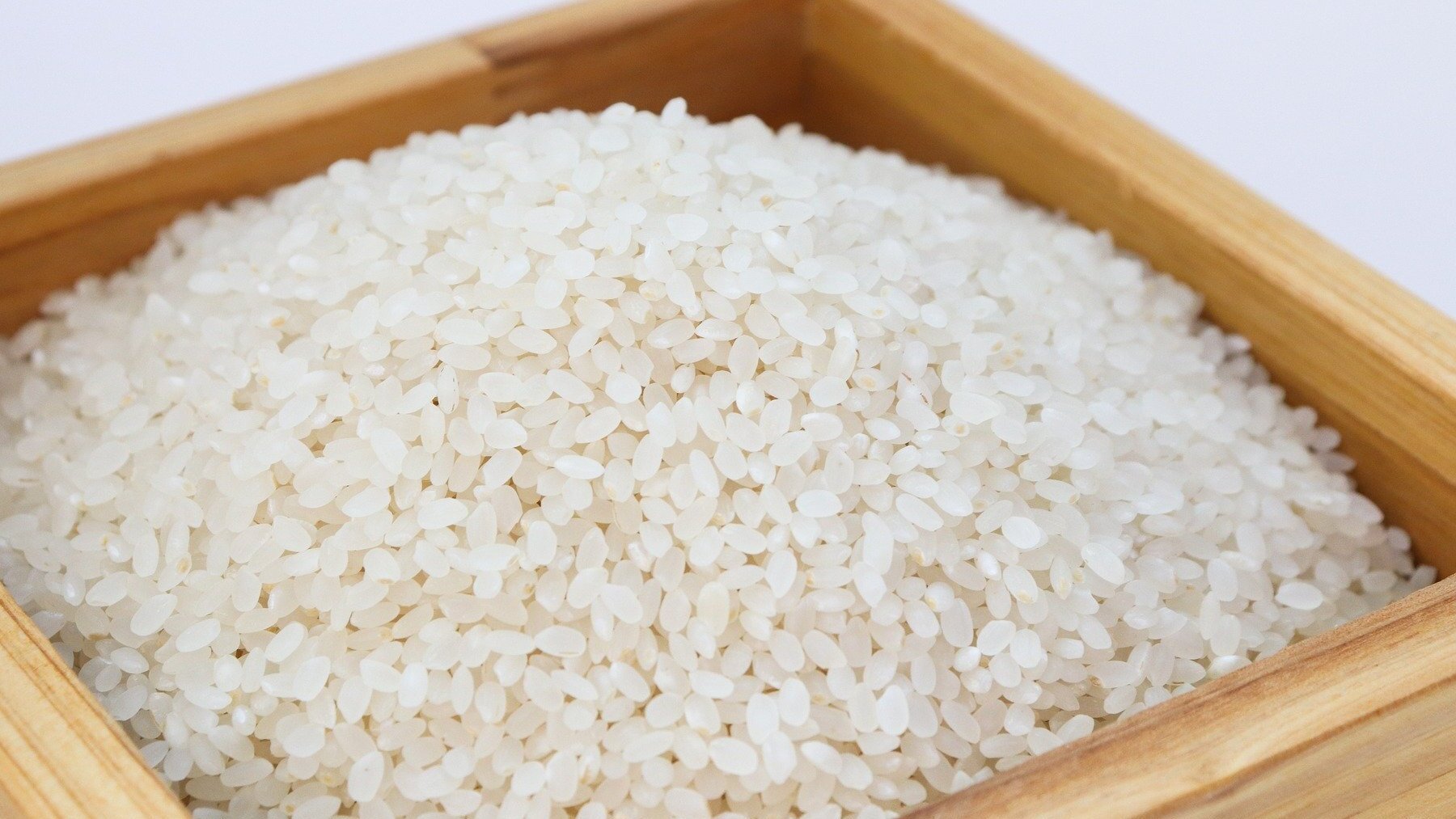 ¿Cómo saber si el arroz cocido se ha puesto malo?