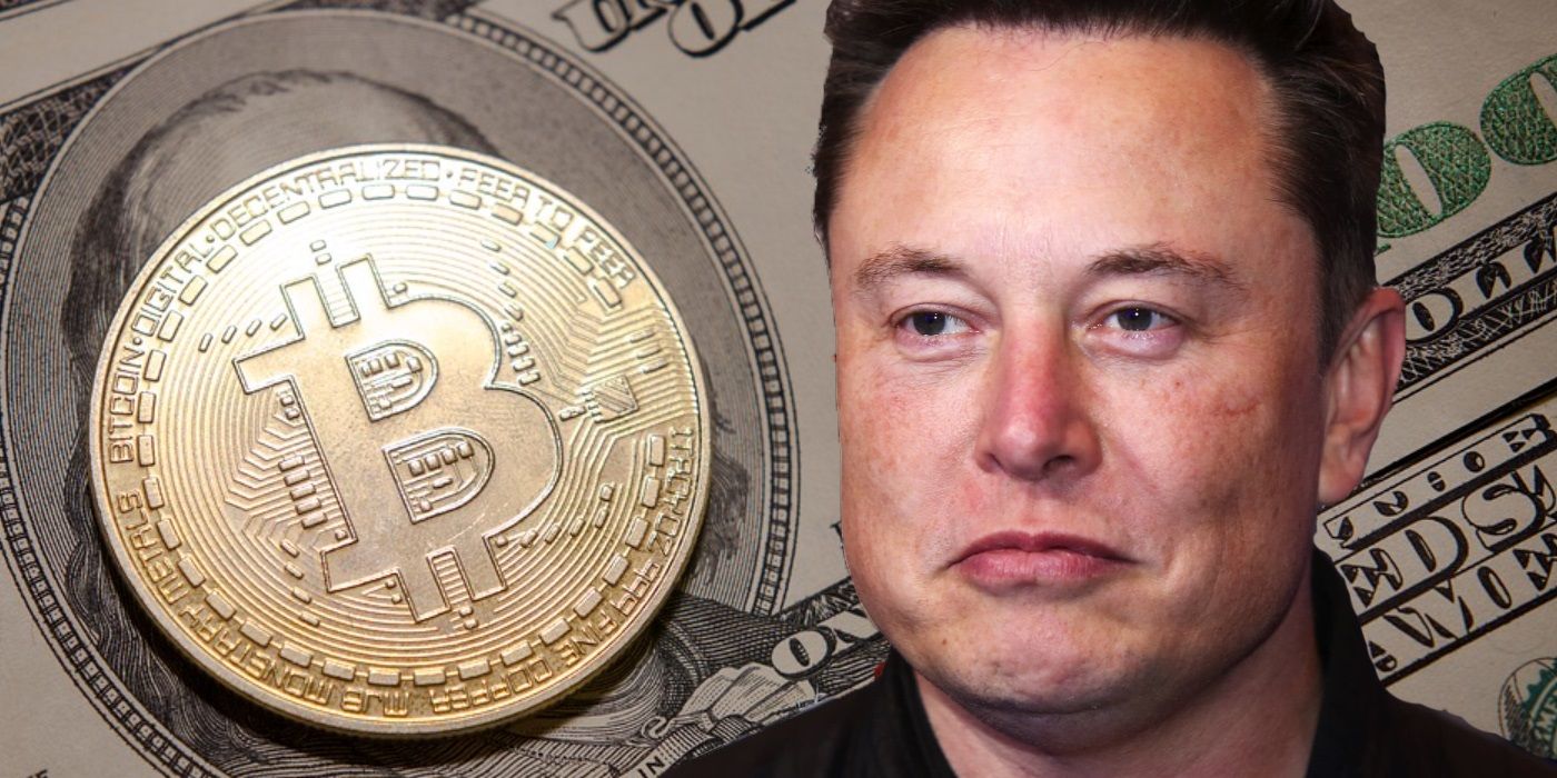 ¿Elon Musk compró su entrada a Twitter para su proyecto criptográfico?