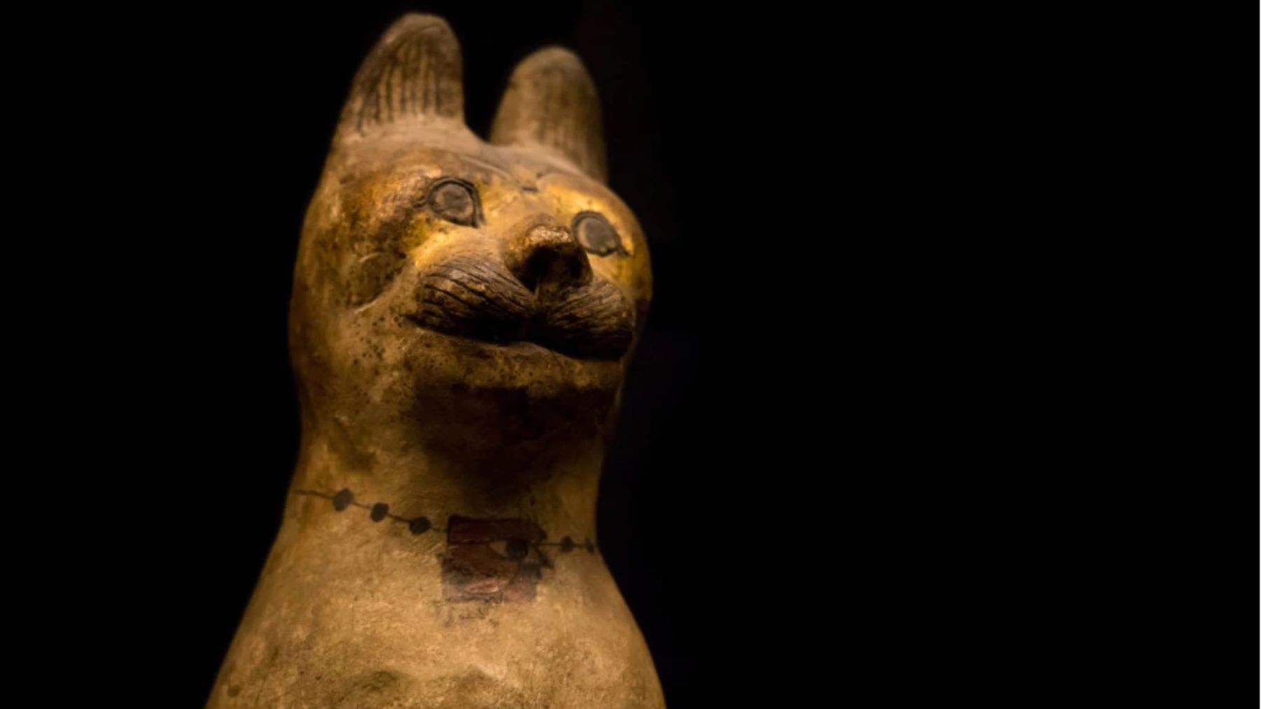¿Por qué los egipcios también momificaban animales?