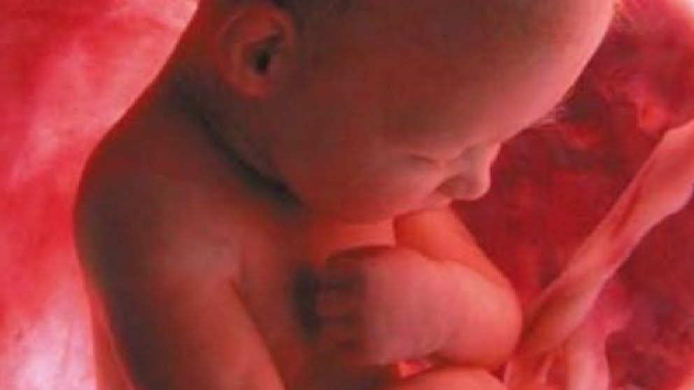 5 curiosidades del bebé en el vientre