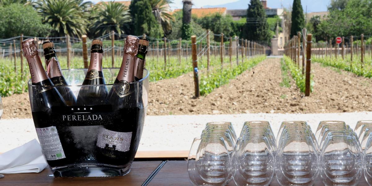 Así es la nueva bodega de Perelada, una excelencia vinícola en el Empordà