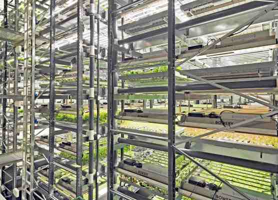 Bowery abre una nueva granja vertical en Pensilvania