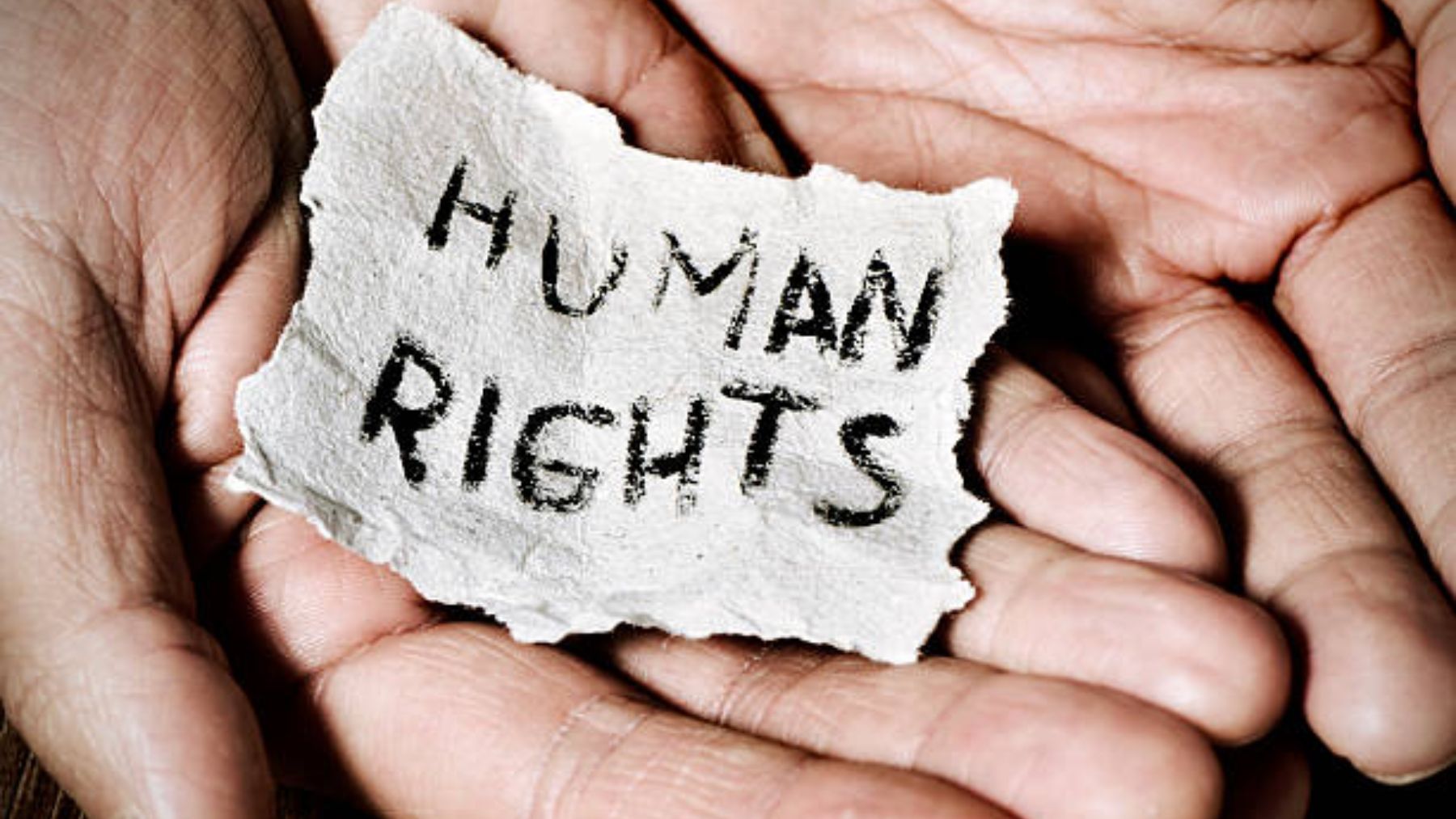 Cuáles son los derechos humanos universales