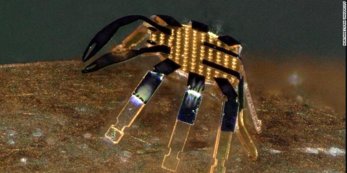 Este robot con forma de cangrejo es milimétrico y podría ayudar en intervenciones quirúrgicas