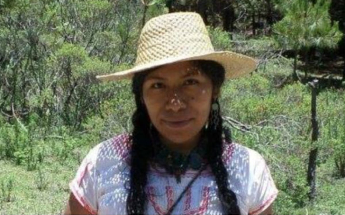 Un año sin Irma Galindo, la guardabosques que desapareció en CDMX y tenía protección federal
