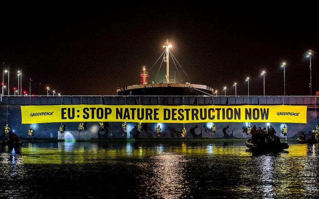 Greenpeace bloquea megabuque de soja brasileña en Países Bajos | Video
