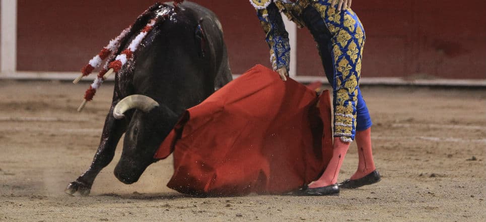 Juez federal suspende corridas de toros en la Plaza México; autoridades pueden impugnar