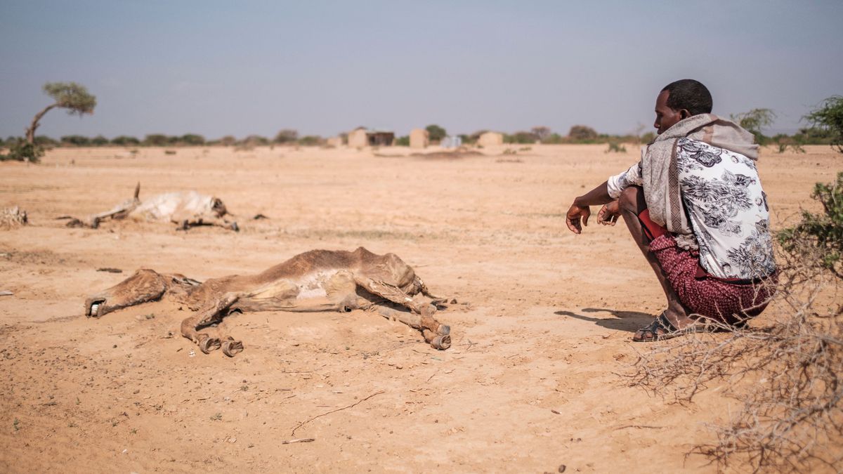 La hambruna amenaza con matar a una persona cada 48 segundos en el Cuerno de África, según ONG