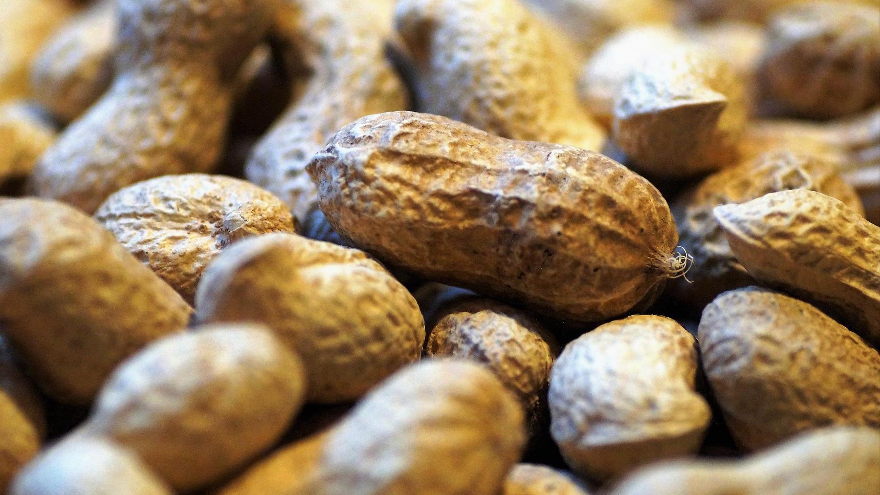 La razón por la que los cacahuetes no son frutos secos