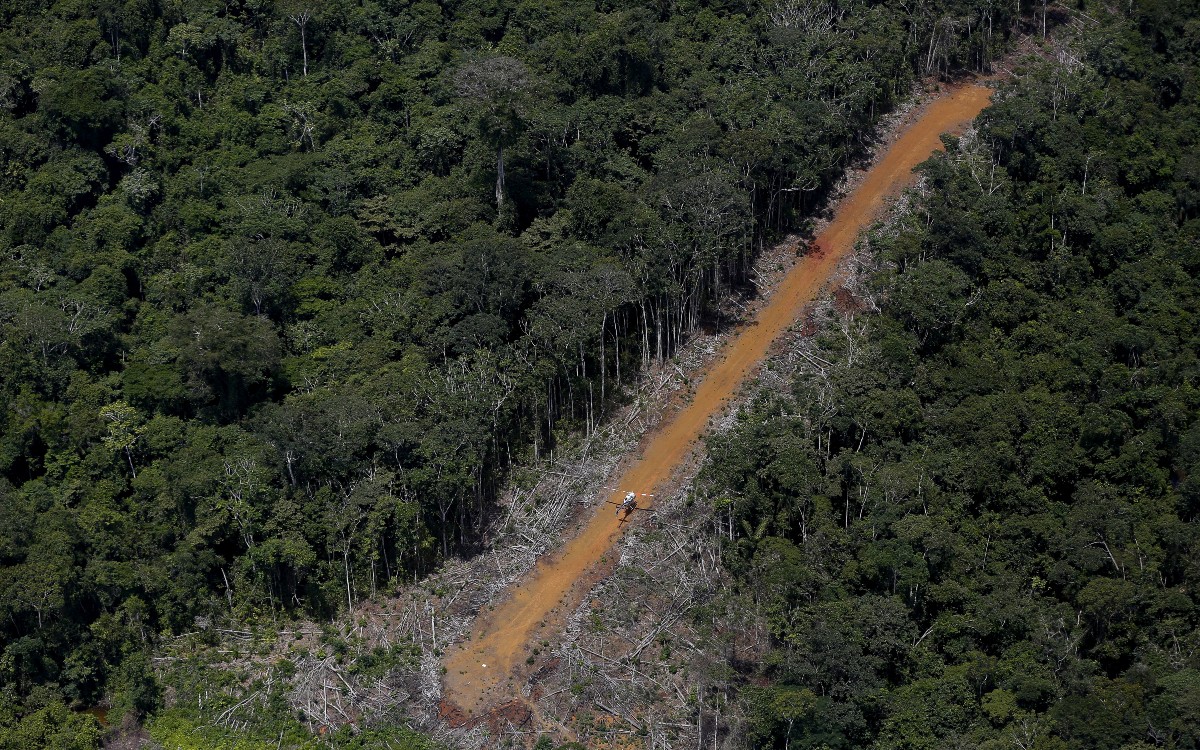 Los Yanomami son víctimas de buscadores de oro; la CIDH pide al Estado de Brasil que los proteja