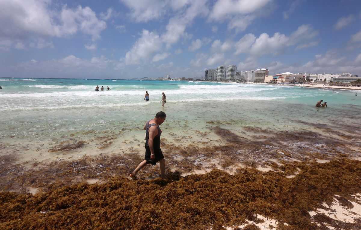 México advierte de la llegada “alarmante” de más de 32.000 toneladas de sargazo al Caribe