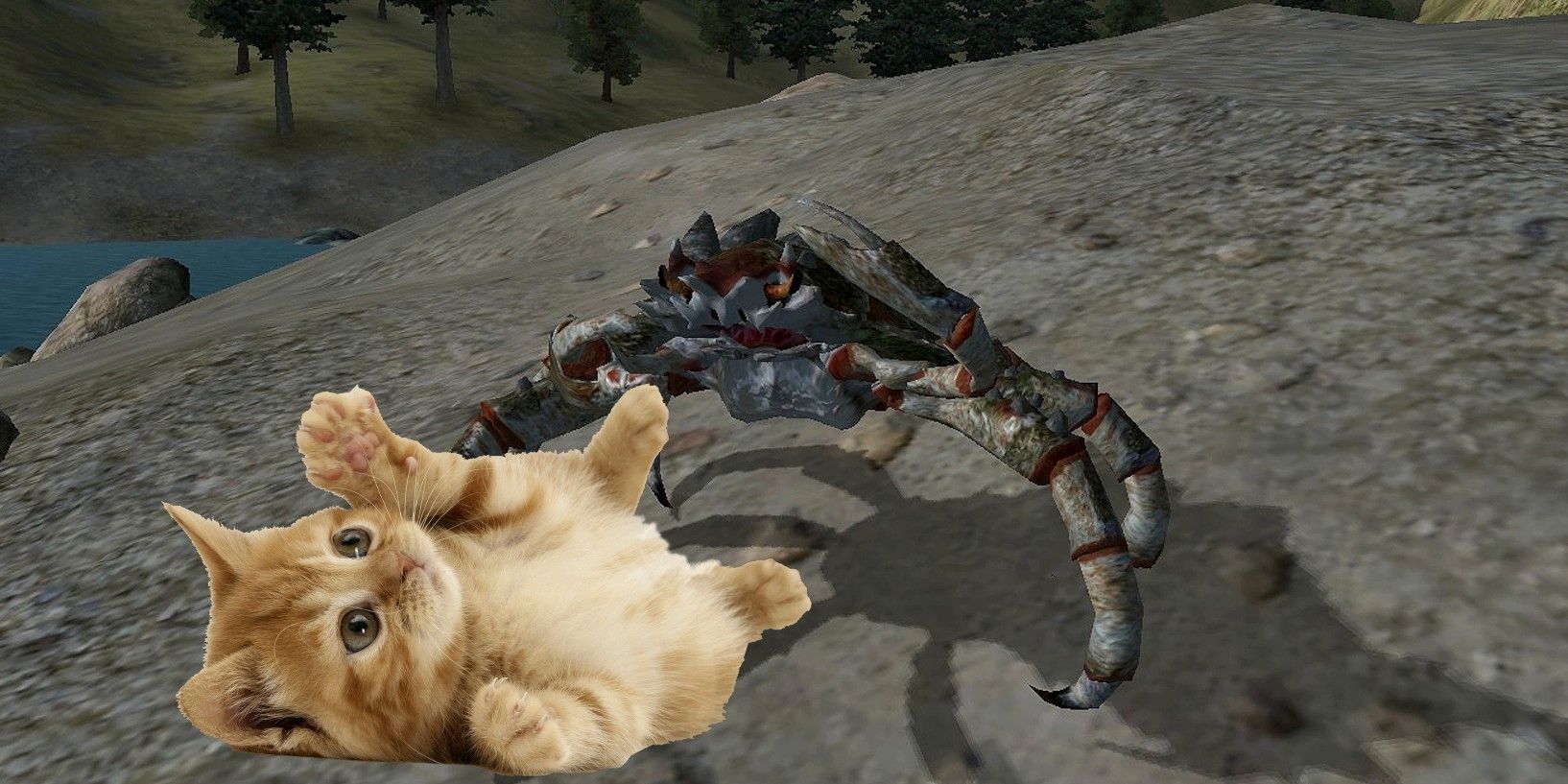 Morrowind Player Mods en Family Cat para proteger a los niños de Mudcrabs