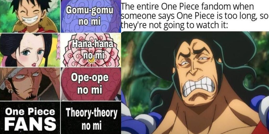 One Piece: 9 memes que resumen el anime