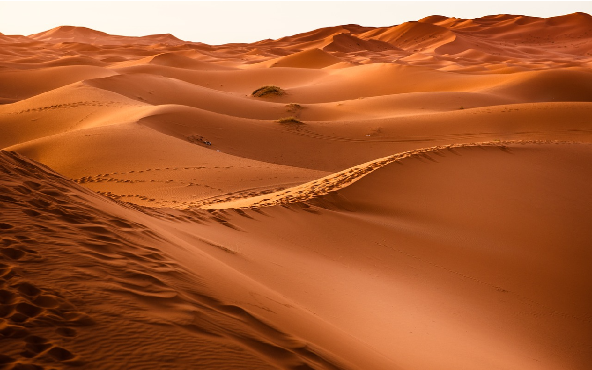 Polvo del desierto puede acelerar el deshielo: NASA investigará su impacto climático